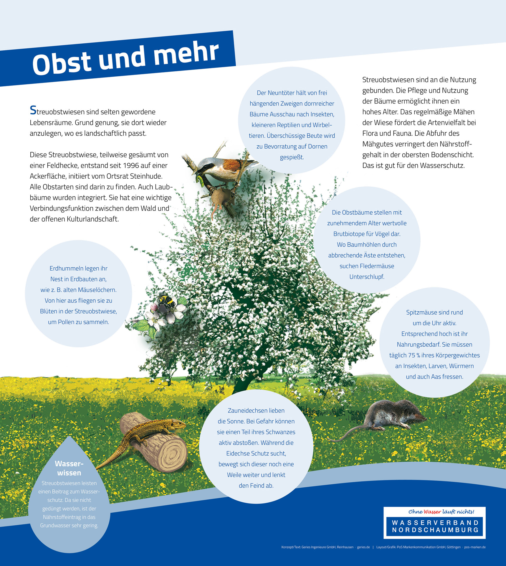 Tafel 7: Obst und mehr