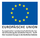 EU Logo